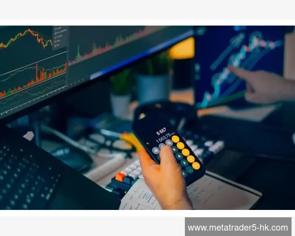 MetaTrader 5账户资金明细导出格式设置技巧