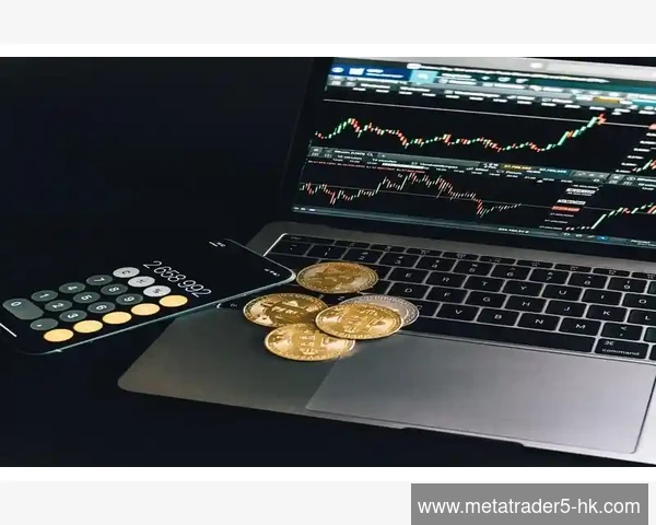 MetaTrader 5不同服务器节点切换优化连接