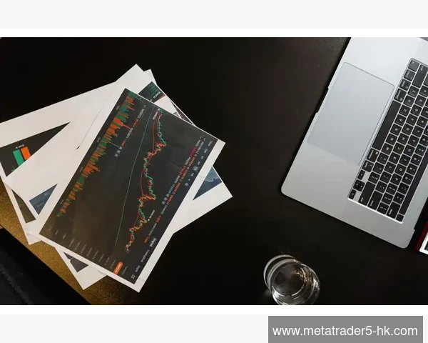优化MetaTrader 5在SSD与机械硬盘上的性能差异应对